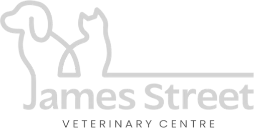 James Street Vets